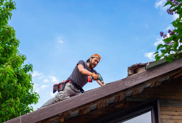 Best Asphalt Shingle Roofing  in Eureka, MT